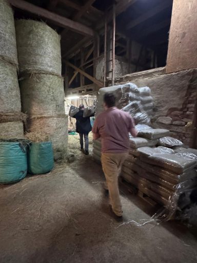 Lagerraum mit Strohballen und sackweise Lagergut, zwei Personen sichtbar.
